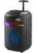 Портативна Bluetooth колонка RIAS RX-8188 10 Вт Чорний 2104619435 фото 3